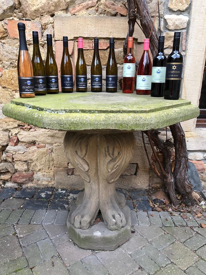 Weingut Zumstein Bad Duerkheim Ngoại thất bức ảnh